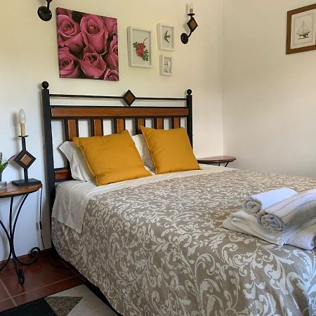 Casa Castenda 维塞乌 外观 照片